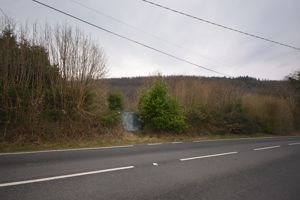 Photo 2- click for photo gallery